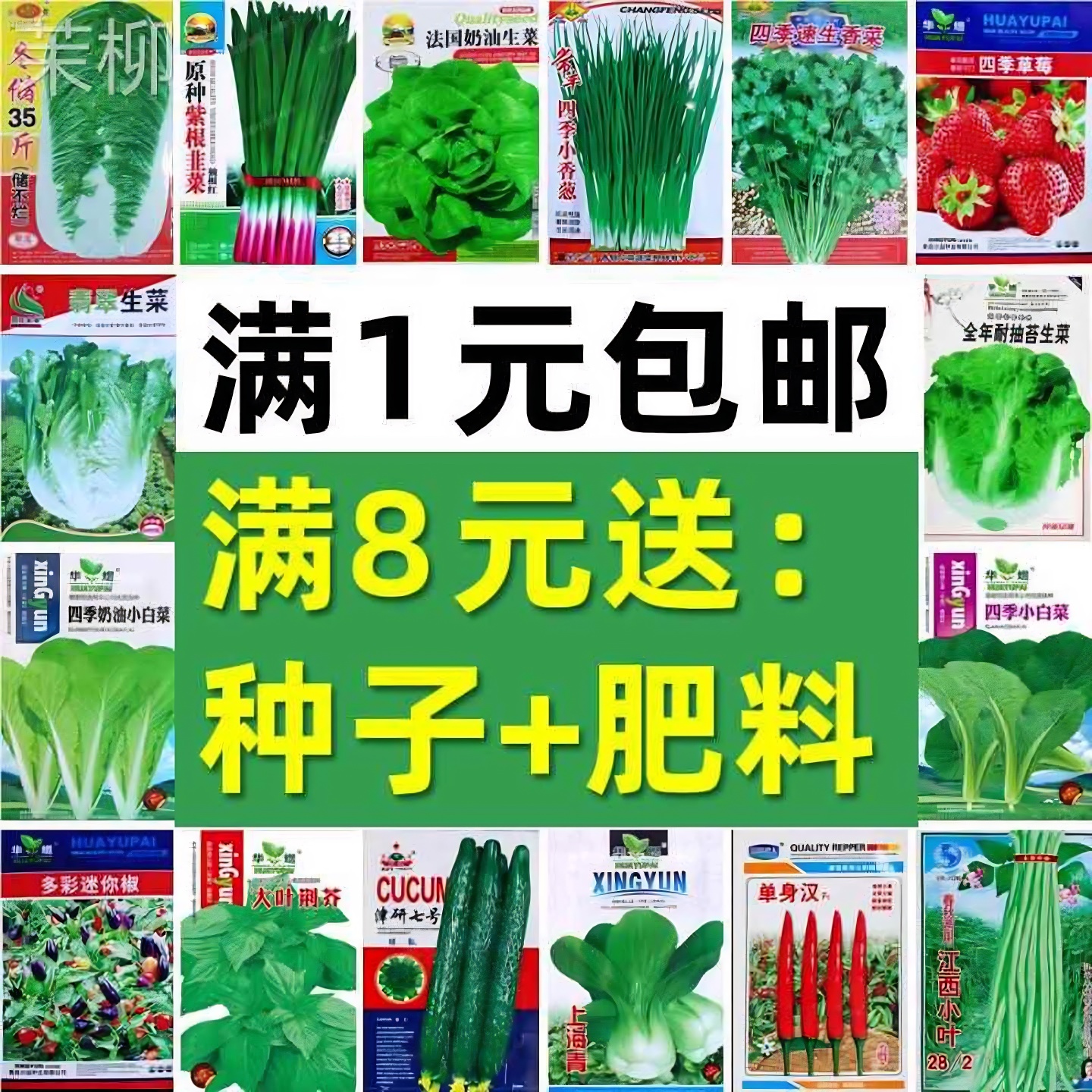 四季蔬菜种子阳台庭院易种植生菜黄瓜韭菜草莓香菜葱蒜小白菜种籽