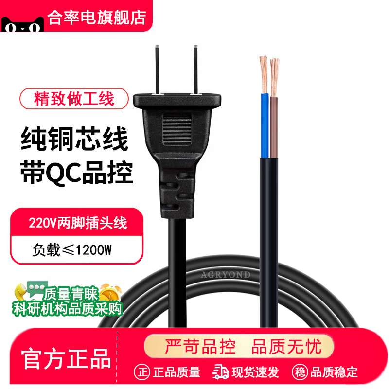 电源线二芯纯铜两脚三脚插头带线