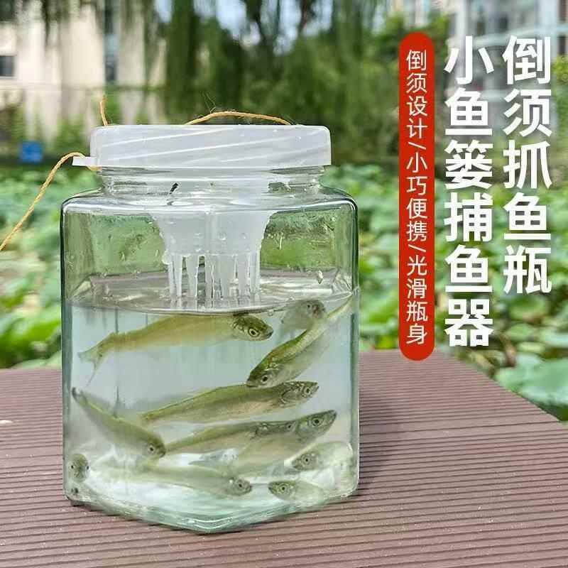 加厚倒须小孩抓鱼瓶玻璃捕鱼瓶儿童捕捉抓鱼神器小鱼瓶捕鱼工具