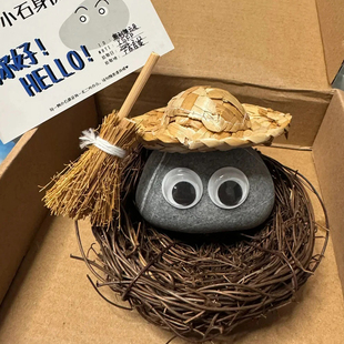 可爱宠物石头小黄人同款异宠省心小宠石头不用喂食可分享喜怒哀乐