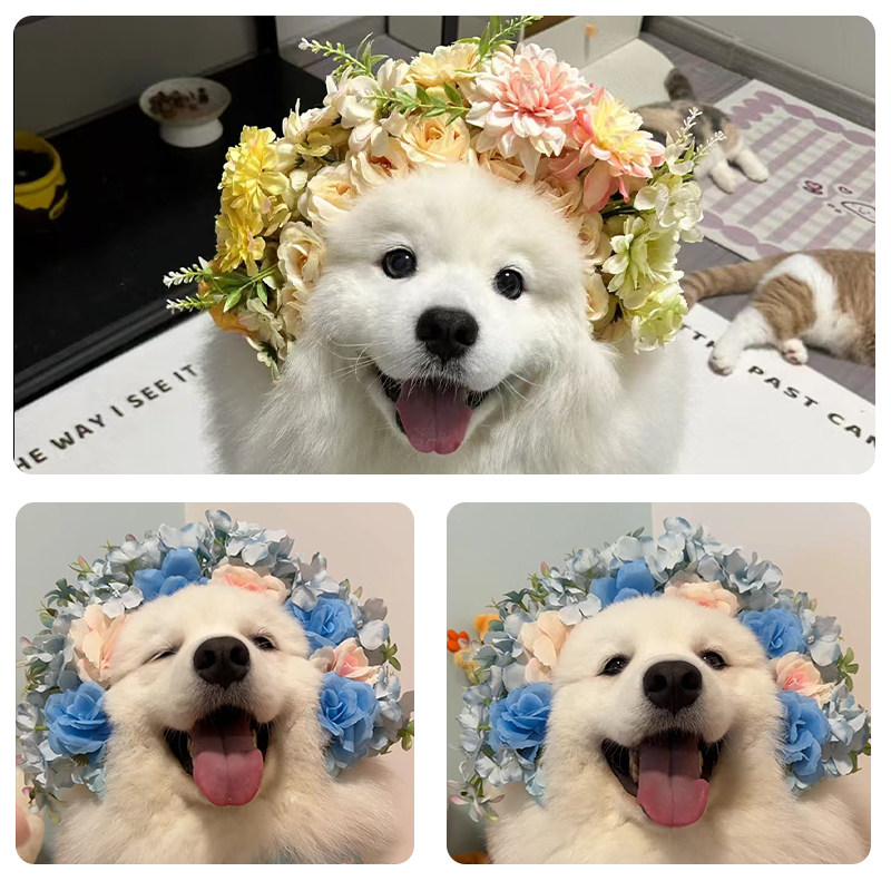 小狗簪花发箍今生世世漂