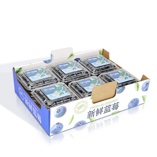 高档蓝莓包装盒礼盒6盒125克装手提袋怡颗莓高端礼品盒水果空盒子