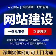深圳网站制作公司网站建设APP开发官网设计中英文网站搭建定制