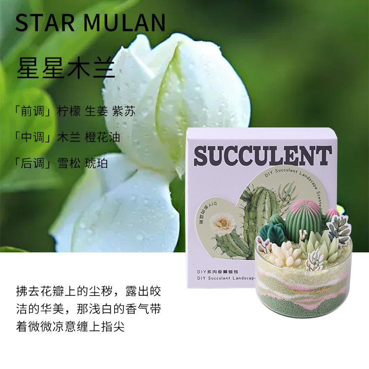 香薰蜡烛diy多肉植物仙人掌沙画蜡烛手工室内结婚伴手礼生日蜡烛