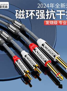 雷克森双6.5转双莲花头大二芯音频连接线2RCA转6.5mm调音台功放连