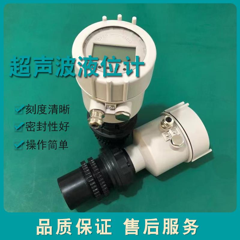 上仪仪表集团DLM型超声波