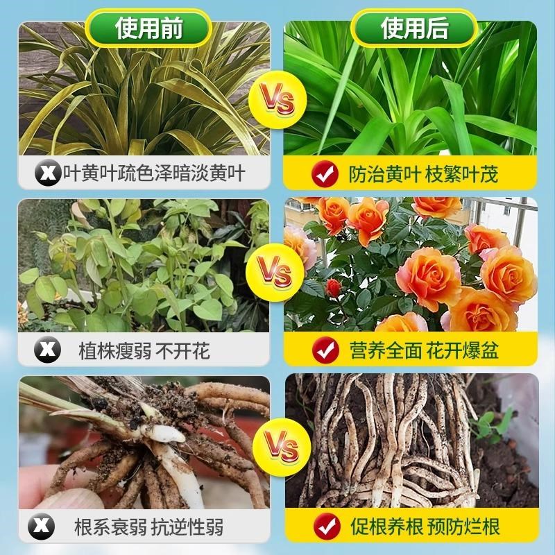 营养液室内盆栽植物营养液通用型养花花卉水培绿萝花草家用花肥料