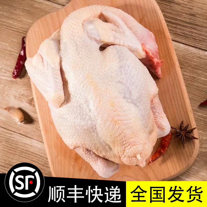 广东新鲜湛江阉鸡4斤矮脚黄文昌鸡清远麻鸡红毛老鸡冷冻批发整鸡