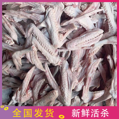 广东新鲜现杀黑棕鹅鹅掌鹅掌亦新鲜冰冻鹅爪散养马岗鹅大脚鹅翅膀