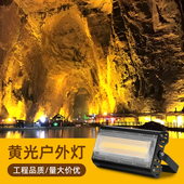 黄光洗墙灯户外防水射灯外墙溶洞风景区建筑照树灯暖彩色LED投光
