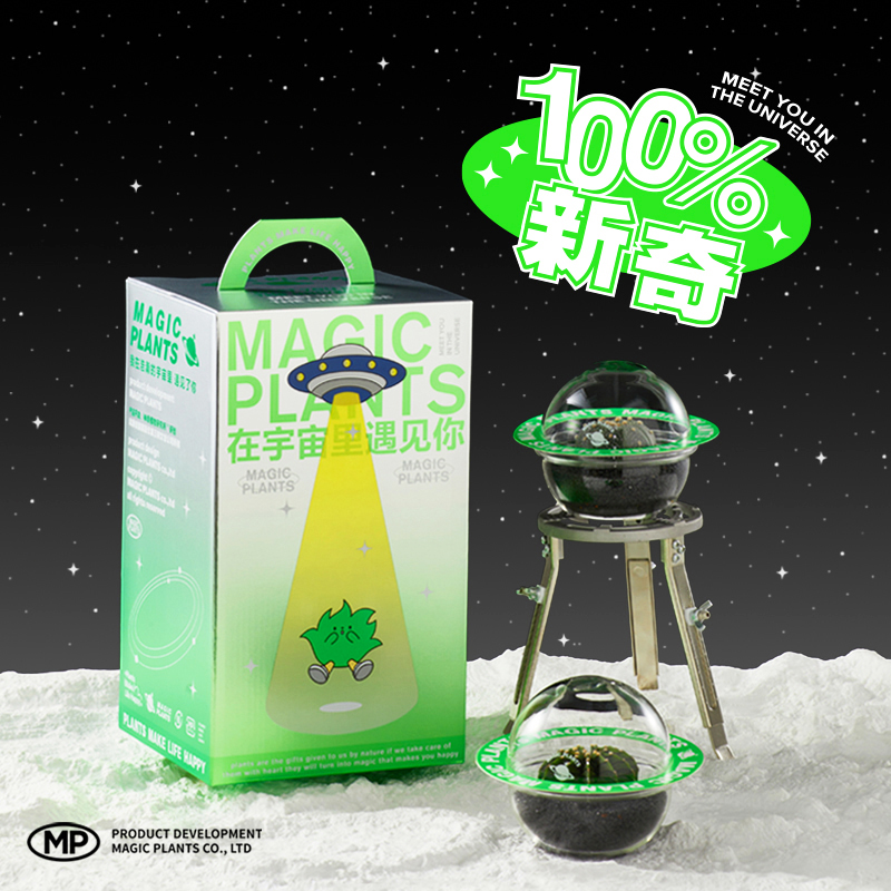 神奇植物星兜多肉仙人球桌面办公室内四季耐养懒人植物创意礼品