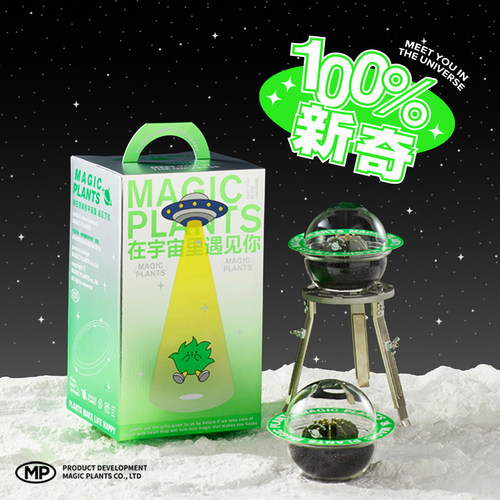 创意盆栽礼盒懒人植物星兜多肉
