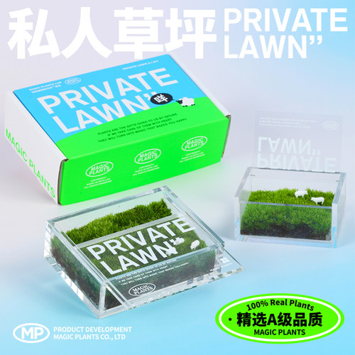 神奇植物私人草坪景观苔藓