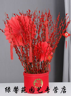 银柳真花鲜枝年宵花卉红色七彩银柳干花过年客厅福桶室内装饰C60|