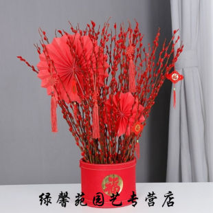 银柳真花鲜枝年宵花卉红色七彩银柳干花过年客厅福桶室内装饰C60|