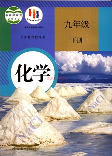 包邮 社 人民教育出版 2023六三制化学9九年级下册初三义务教育教科书初中教材课本人教版