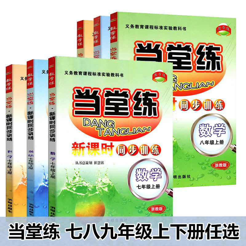 当堂练新课时同步训练