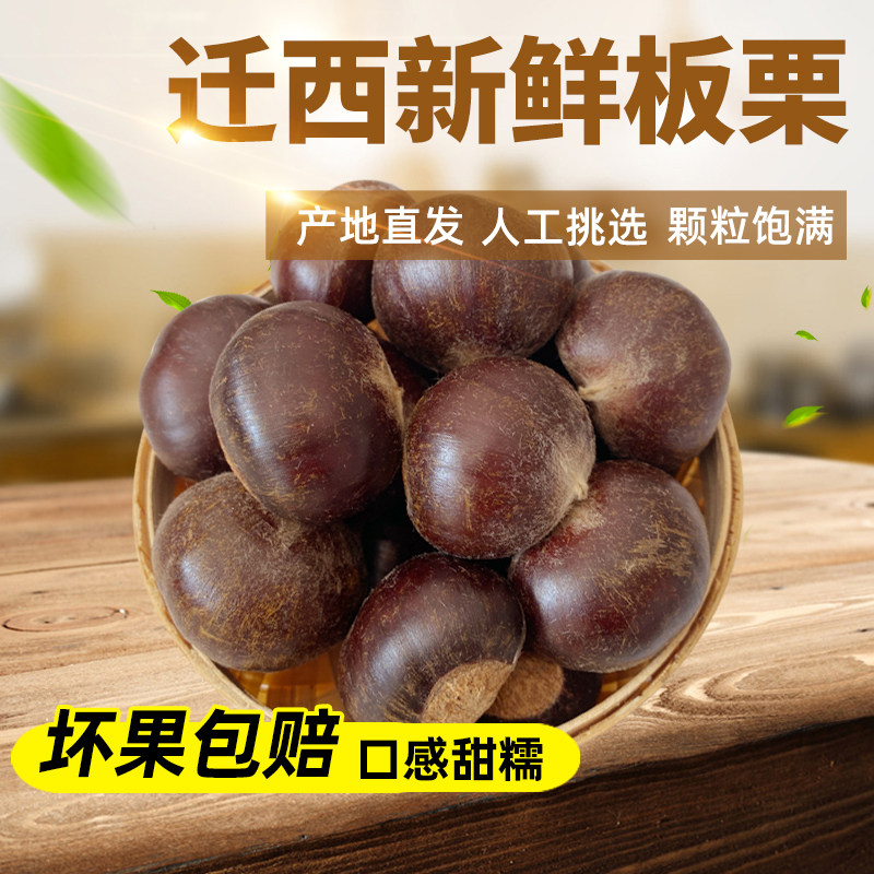 2025年迁西板栗生新鲜下树人工挑选老树3113农家自产油栗子特产