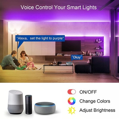 5v低压灯带套装5050RB灯带WiFi智能语音控制LE灯带USB灯条