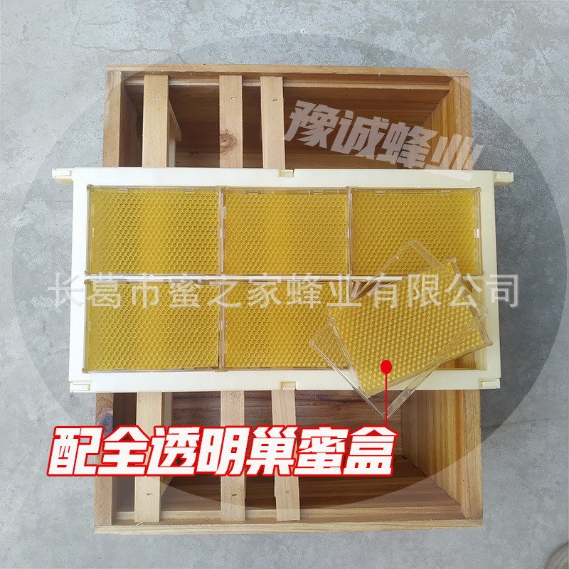 【配加厚透明巢蜜盒】500塑料巢蜜框 蜜蜂巢蜜格架全套餐 中意蜂