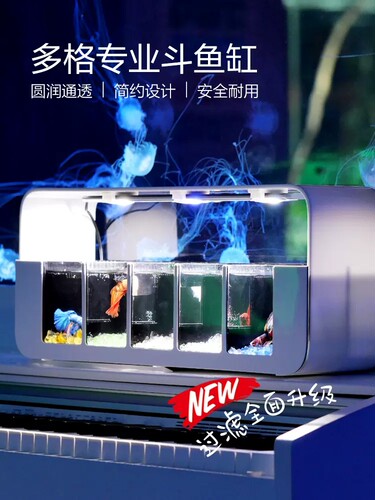 月光水母一体多格斗鱼缸活体套装