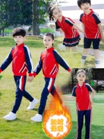 Флисовый костюм для детского сада, спортивная форма для школьников, демисезонный комплект, увеличенная толщина, осенний сезон, 3 предмета