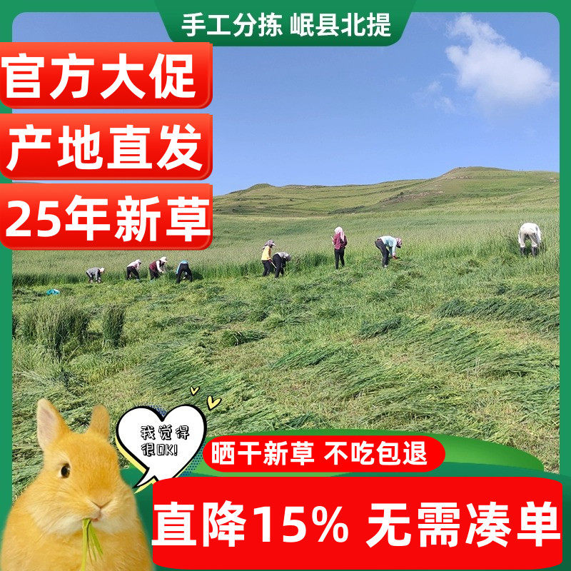 25年新提摩西草精品兔子干草荷兰猪猪粮龙猫牧草晒干北提岷县500g