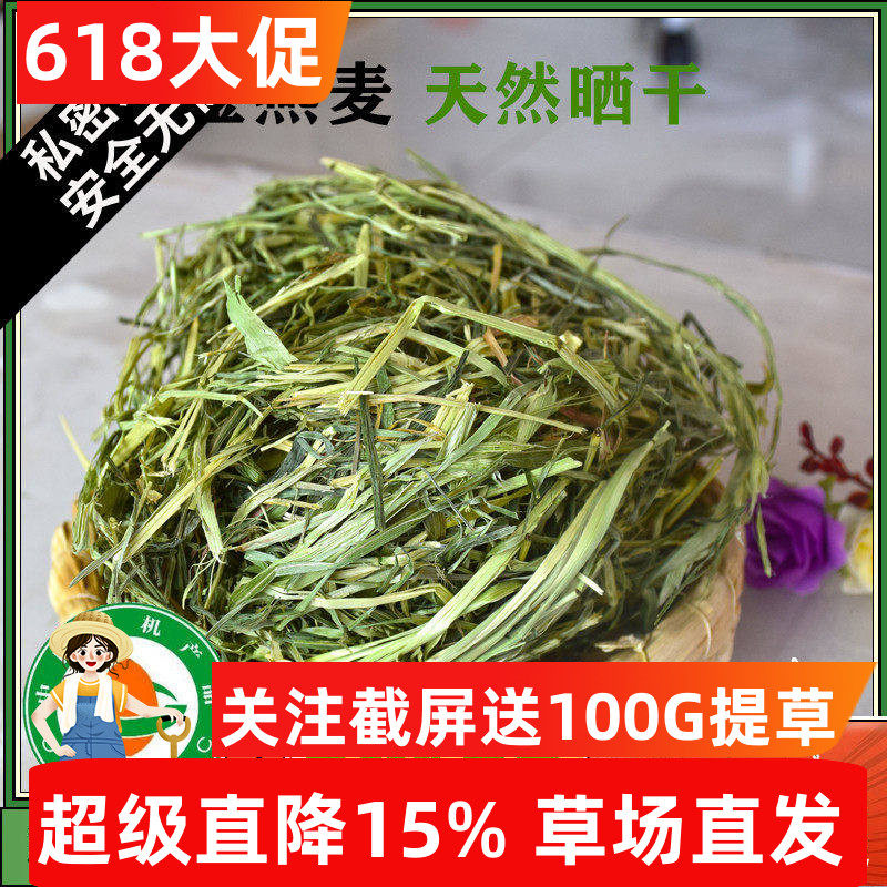 新晒干绿燕麦草国产兔子干草兔粮荷兰猪龙猫饲料牧草磨牙甘肃500g