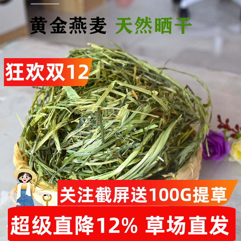 新国产绿燕麦草晒干兔子干草磨牙