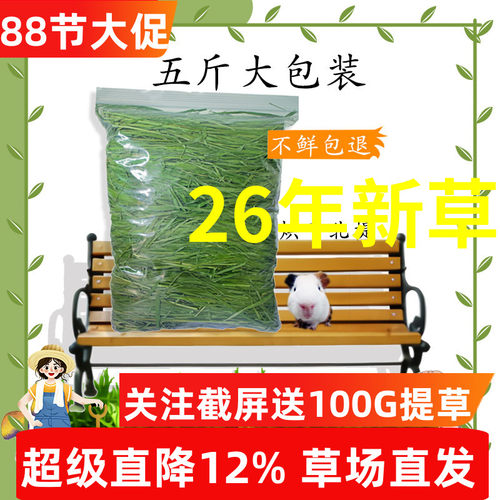 7A精品烘干提摩西草干草北提草兔子草兔粮龙猫豚鼠荷兰猪粮食牧草