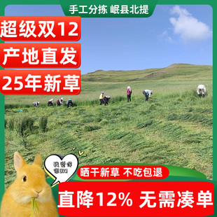 25年新提摩西草精品兔子干草荷兰猪猪粮龙猫牧草晒干北提岷县500g