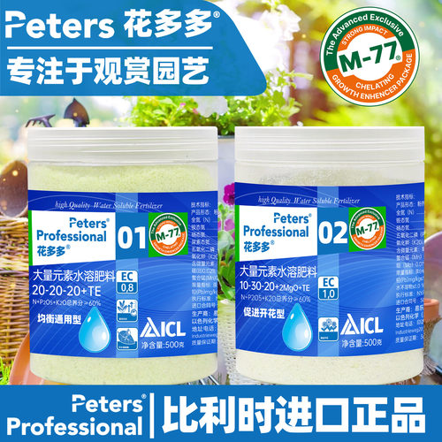 进口2号官方旗舰店月季多肉