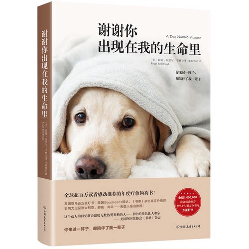 谢谢你出现在我的生命里