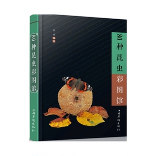 【正版】80种昆虫彩图馆黄威中国华侨出版社9787511358790