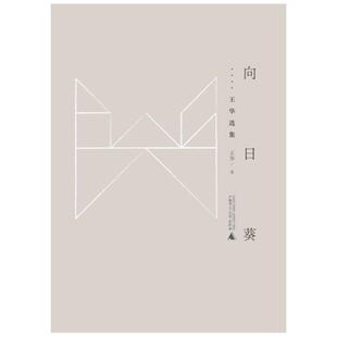 【正版】向日葵(微瑕)王华著广西师范大学出版社