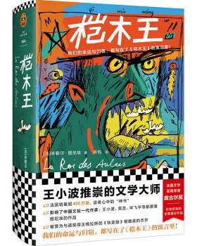 [满45元包邮]桤木王