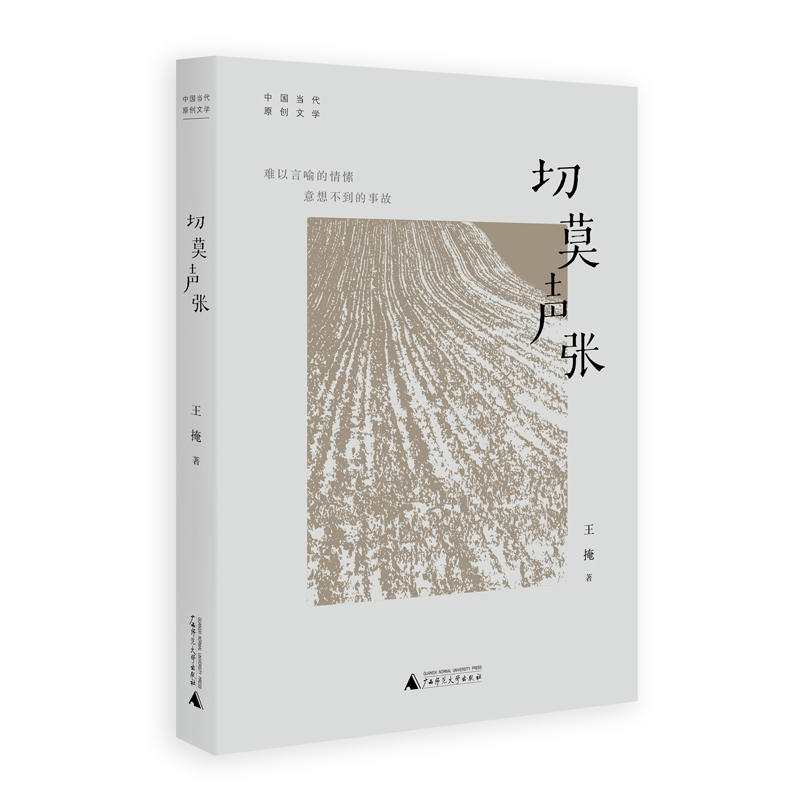 【正版】切莫声张王掩广西师范大学出版社9787549594689