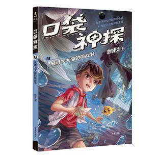 【正版】口袋神探13:黑雨衣大盗的挑战书凯叔山东画报出版社