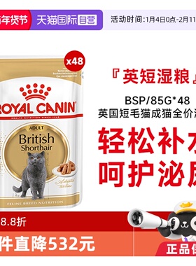 【自营】皇家猫湿粮英国短毛猫成猫全价湿粮营养补水BSP/85g*48包