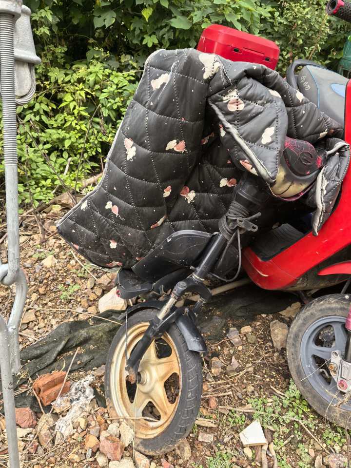 12月21日湖州报废电瓶车1辆网络拍卖公告