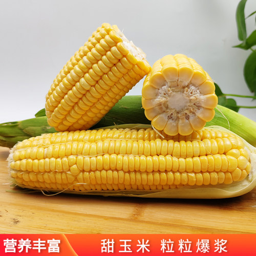 养生嫩甜水果玉米新鲜甜玉米棒