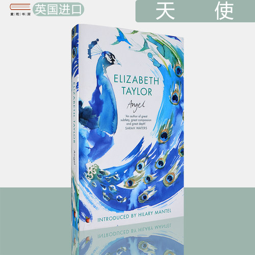 天使Angel电影原著小说当代经典