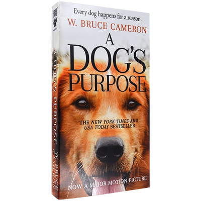 现货一条狗的使命电影原著小说