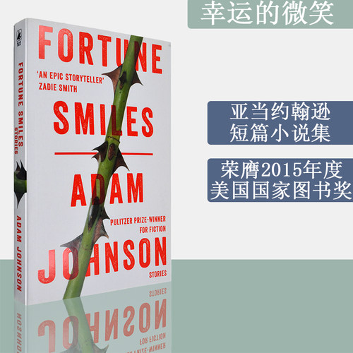 2015年美国图书奖获奖小说