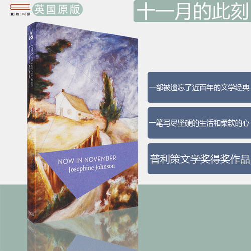 一部被遗忘了近百年的文学经典