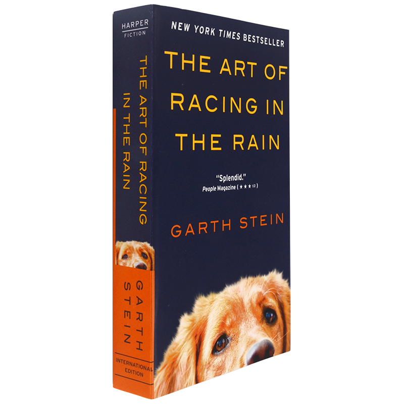 TheArtofRacingintheRain