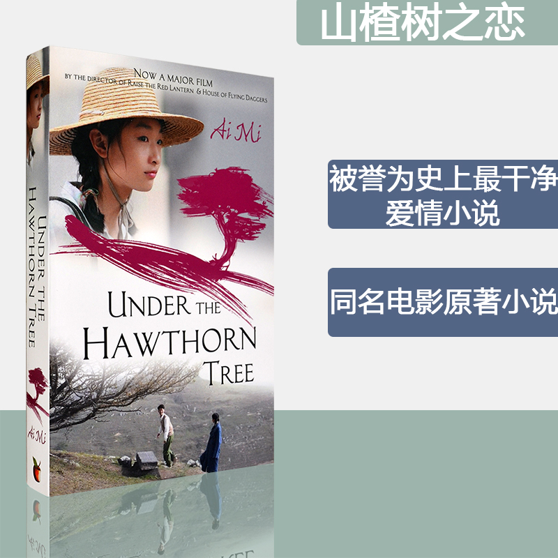 被誉为史上最干净的爱情小说同名电影原著