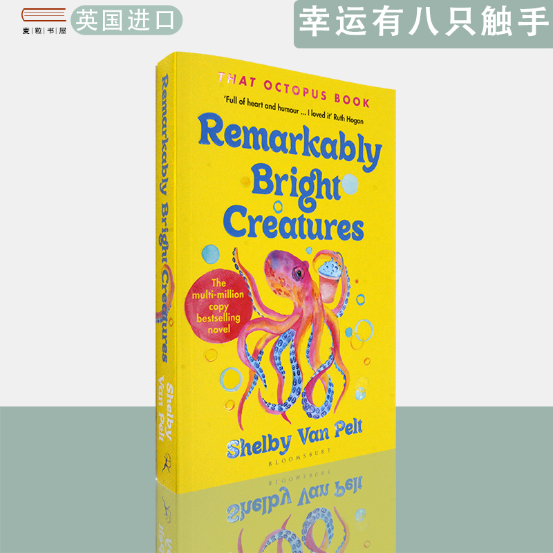 非常聪明的生审视过去寻找未来