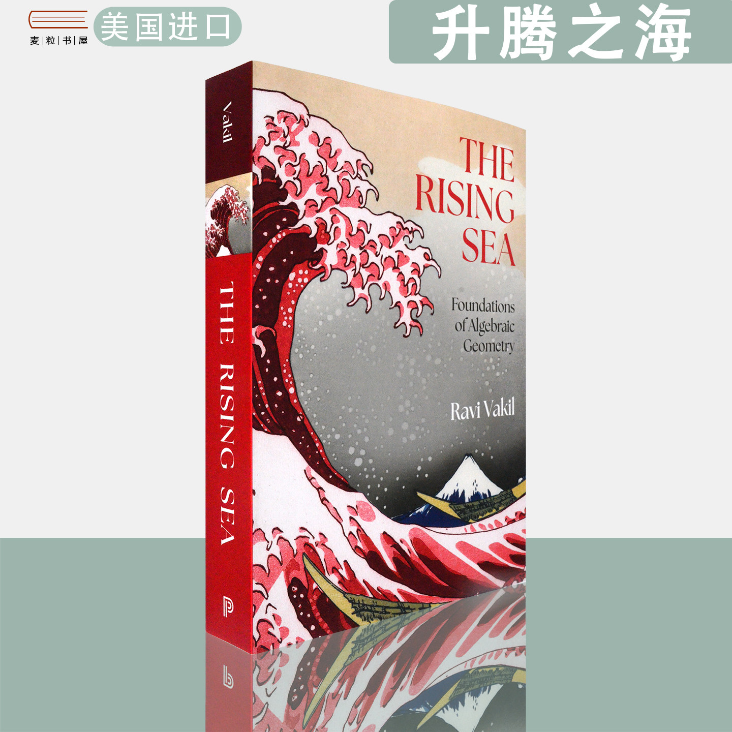 【现货】英文原版 升腾之海:代数几何基础 The Rising Sea: Foundations of Algebraic Geometry Ravi Vakil