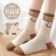 袜子女中筒袜秋冬季 纯棉抗起球吸汗透气ins潮百搭日系外穿长筒袜